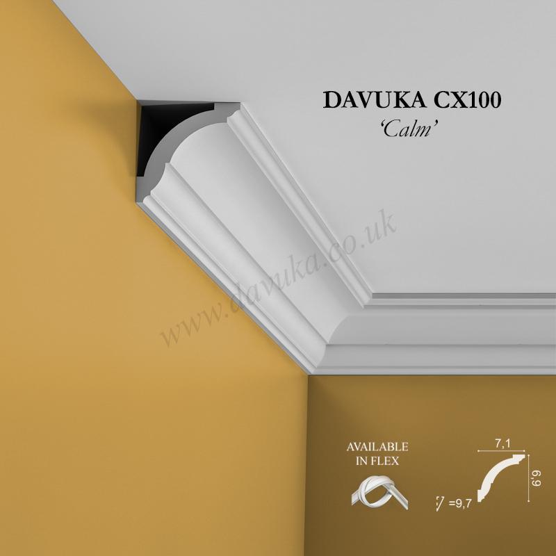 Profile of CX100 coving